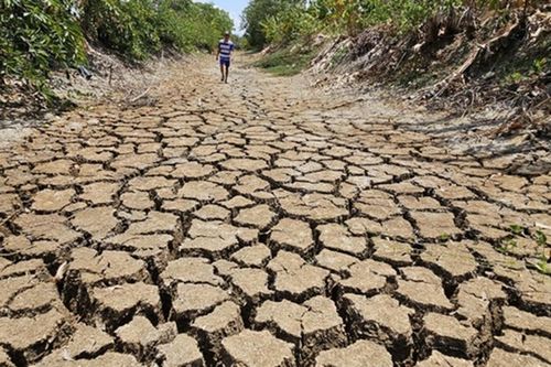 El Nino mạnh nhất trong 3 tháng cuối năm tác động đến từng khu vực thế nào?