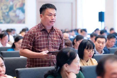 ĐBQH đề nghị siết trách nhiệm trong phân loại, xử lý rác thải sinh hoạt