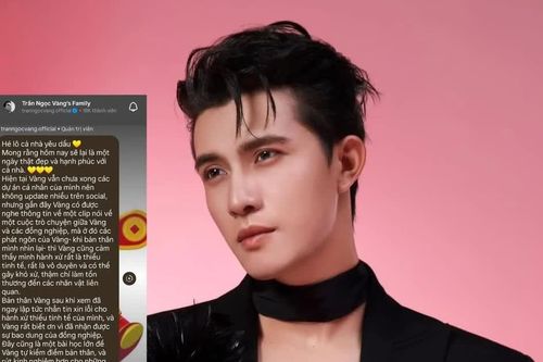 Trần Ngọc Vàng gửi lời xin lỗi đồng nghiệp sau khi bị 'soi' phát ngôn kém duyên