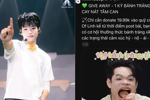 Tinh Hà 'Say Hi' tung deal X4 lượt vote: Vét sạch ví, fan lấy đồ ăn, truyện cũ ra gây quỹ