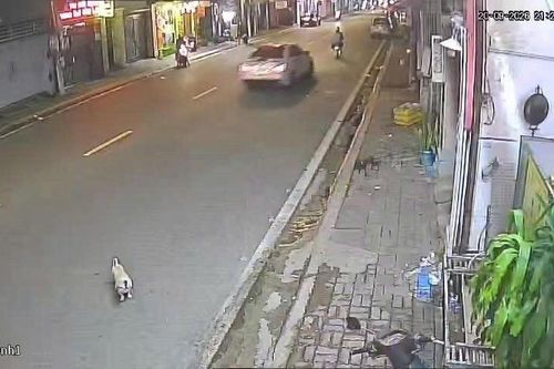 TP Hồ Chí Minh: Ứng dụng 'mắt thần' quản lý đô thị