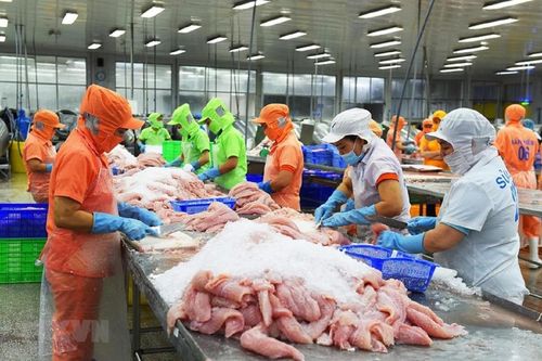 Tận dụng lợi thế từ CPTPP