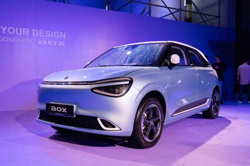 Cuộc đua xe điện Đông Nam Á sẽ đẩy giá xe lên cao?