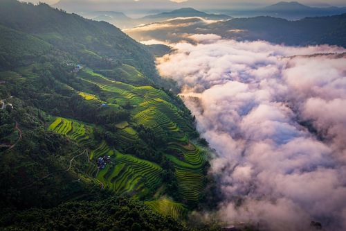 Cảnh gây sửng sốt ở Hoàng Su Phì mùa đẹp nhất năm
