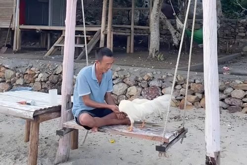Người đàn ông bán ôtô, xa vợ con ra đảo hoang sống một mình