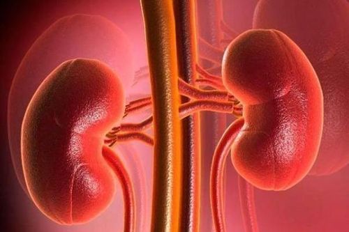 Cuộc đời mới sau suy thận giai đoạn cuối