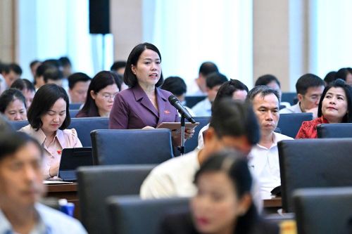 ĐBQH: Không chuyển phần khó từ cơ quan nhà nước sang người tham gia bảo hiểm xã hội