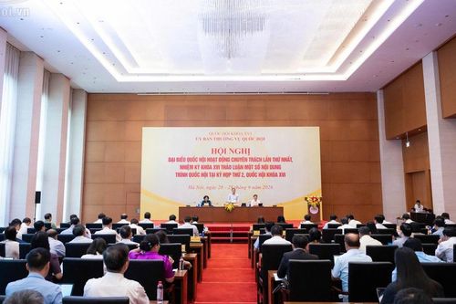 Đại biểu Quốc hội hoạt động chuyên trách thảo luận về nhóm dự án luật thuộc lĩnh vực hành chính, tư pháp