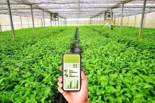 Dự kiến cơ chế sử dụng ngân sách nhà nước hỗ trợ hợp tác xã, liên hiệp hợp tác xã