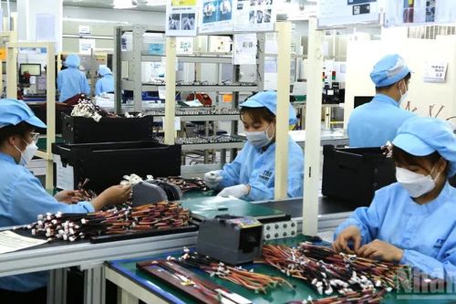 Tạo nền tảng vững chắc cho tăng trưởng