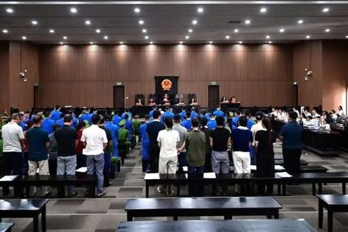 Cựu Viện trưởng Trần Văn Trường thừa nhận toàn bộ hành vi nhận hối lộ