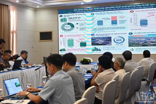 Phục hồi rừng sau khai khoáng gắn với cơ hội phát triển thị trường carbon