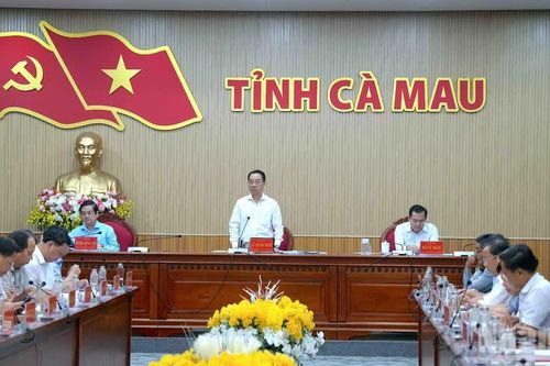 Cà Mau đẩy nhanh tiến độ, quyết tâm hoàn thành nhiệm vụ năm 2026