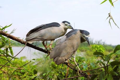 Hà Tĩnh còn đó... đất lành