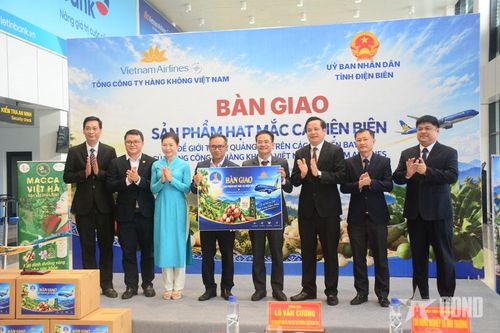 Điện Biên: Quảng bá sản phẩm mắc ca trên các chuyến bay của Vietnam Airlines​