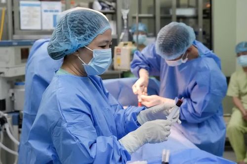 Ghép tế bào gốc từ bé trai 1,5 tuổi cho chị gái suy tủy xương vô căn