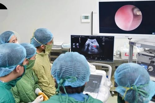 Lần đầu Việt Nam đưa bóng vào khí quản thai nhi chữa thoát vị hoành