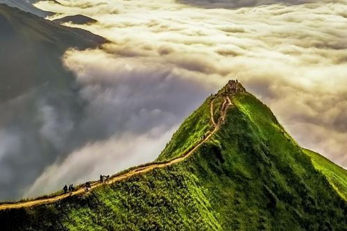 Du lịch Việt Nam tiếp tục ghi dấu ấn tại World Travel Awards 2026
