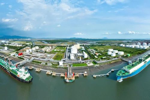 Vì sao chỉ hơn 100 doanh nghiệp 'sống khỏe' trong 10 năm biến động?