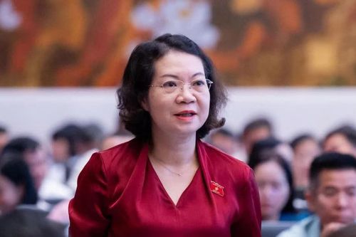 Đại biểu Quốc hội đề nghị cân nhắc kỹ mức phạt đến 1,5 tỷ đồng đối với cá nhân