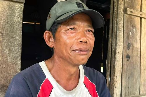 Khẩn trương xác minh vụ không biết chữ nhưng 'đứng đơn' xin 60 ha đất trồng rừng