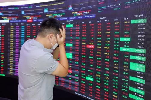 Tin vui không cứu nổi NVL, KOS nằm sàn 7 phiên liên tiếp