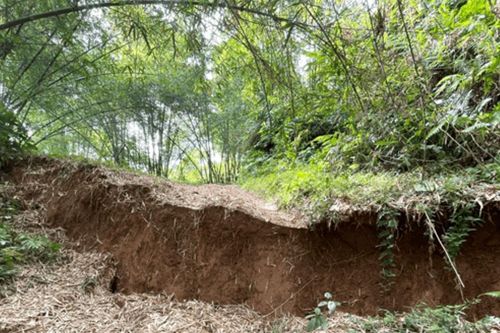 Vết nứt dài hơn 1.000m đe dọa hàng chục hộ dân, trường học