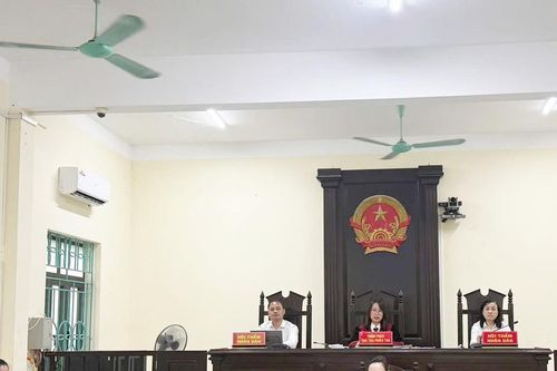Lòng trắc ẩn bị đánh cắp dọc đường trốn chạy và cái chạm của sự bao dung