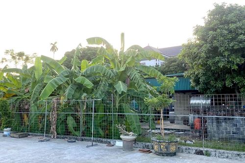 Mua đất giấy viết tay từ năm 1979, gần 20 năm không có nhà: Có được cấp sổ đỏ?