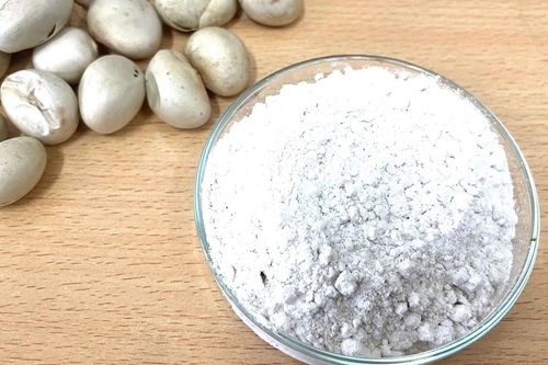 Từ hạt mít, các nhà khoa học tạo vật liệu siêu hấp thụ, cải thiện đất ô nhiễm