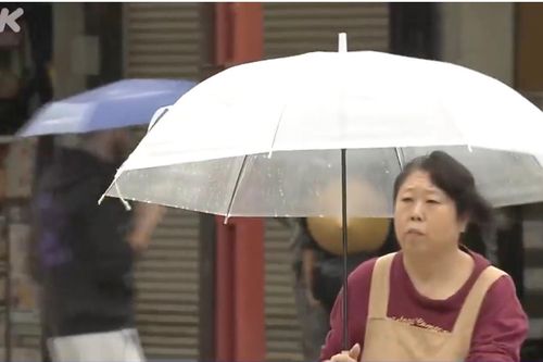 Tokyo lập kỷ lục mới với 34 ngày mưa liên tiếp
