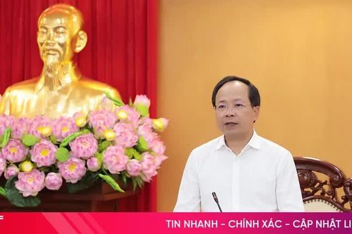 Ban Thường vụ Tỉnh ủy Hà Tĩnh cho ý kiến về các chính sách phát triển, bảo vệ môi trường