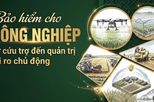 Bảo hiểm nông nghiệp: Công cụ quản trị rủi ro trước cú sốc thiên tai