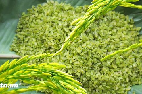 Tuyên Quang: Lễ hội Cốm Thuận Hòa mở ra nhiều trải nghiệm cho du khách