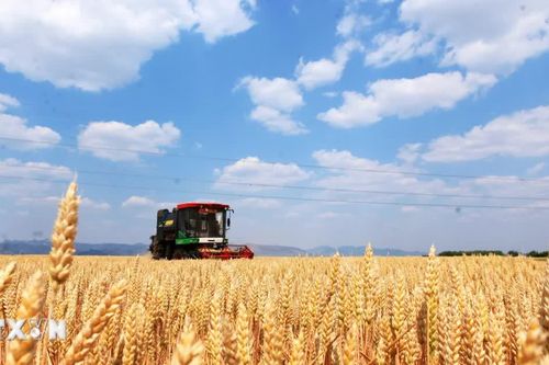 Trung Quốc tăng cường các biện pháp chống nghèo và phát triển nông thôn