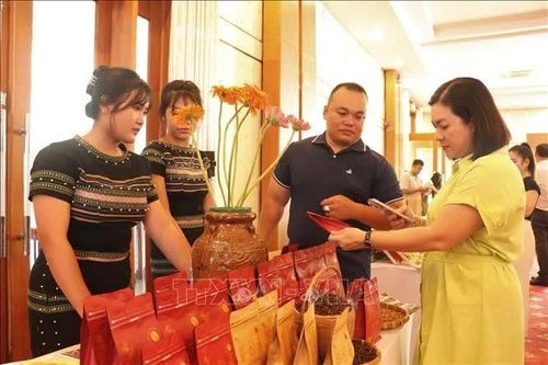 Kết nối vùng nguyên liệu, mở đường cho nông sản vào chuỗi phân phối