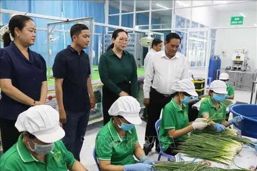 Để phản biện xã hội thực sự góp phần hoàn thiện chính sách