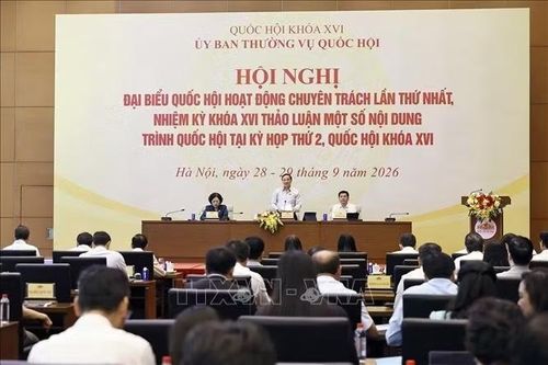 Đại biểu Quốc hội hoạt động chuyên trách thảo luận về nhóm dự án hành chính, tư pháp