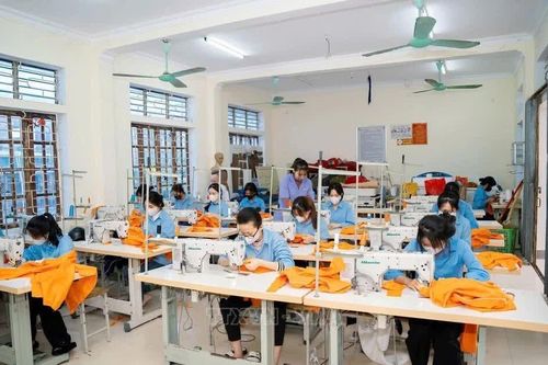 Có thể học nghề ngay tại doanh nghiệp, hợp tác xã, nơi sản xuất