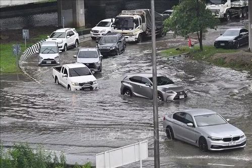 Thái Lan đánh giá thiệt hại y tế, khắc phục hậu quả sau mưa lũ