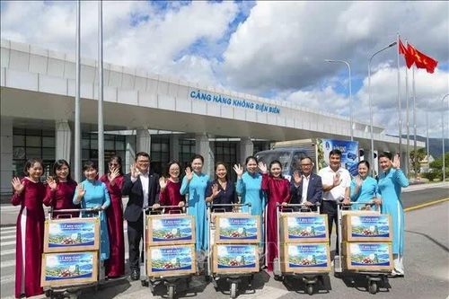 Điện Biên: Đưa mắc ca lên các chuyến bay của Vietnam Airlines