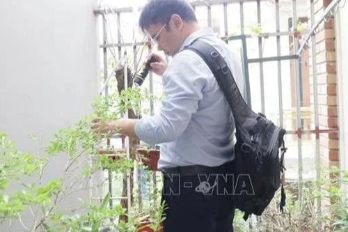 Sốt xuất huyết gia tăng, Hà Nội khuyến cáo người dân chủ động phòng, chống