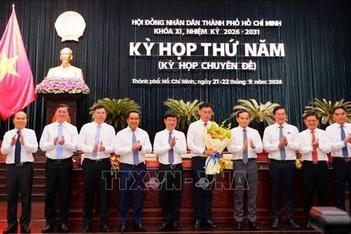 Phê chuẩn kết quả bầu chức vụ Phó Chủ tịch UBND TP Hồ Chí Minh