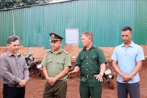 Những 'cây đại thụ' giữa đại ngàn Tây Nguyên