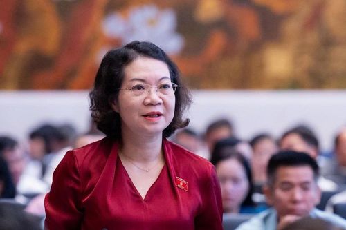 ĐBQH đề nghị đánh giá kỹ tăng mức phạt hành chính tối đa 1,5 tỷ đồng với cá nhân