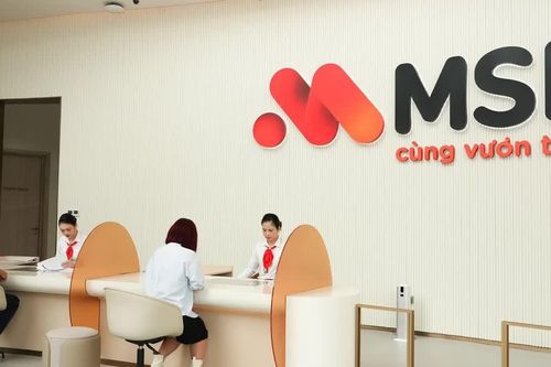 MSB muốn lập ngân hàng con, mua công ty chứng khoán, mở rộng sang bảo hiểm
