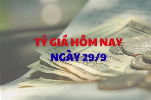 Tỷ giá hôm nay 29/9: Giá USD đi ngang, NDT tăng nhẹ