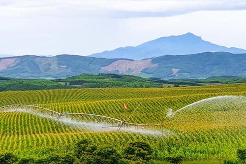 Doanh nghiệp tiên phong phát triển kinh tế tuần hoàn