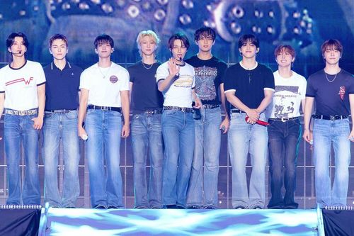 SEVENTEEN mạnh tay xử lý phe vé: Có người nhận án tù, bị truy thu hơn 1 tỷ won