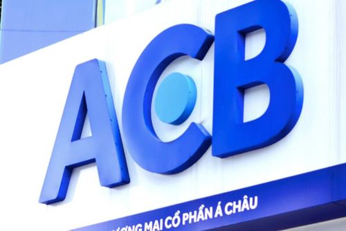 Nhiều chi nhánh của ACB được Thanh tra Ngân hàng chỉ ra tồn tại, hạn chế